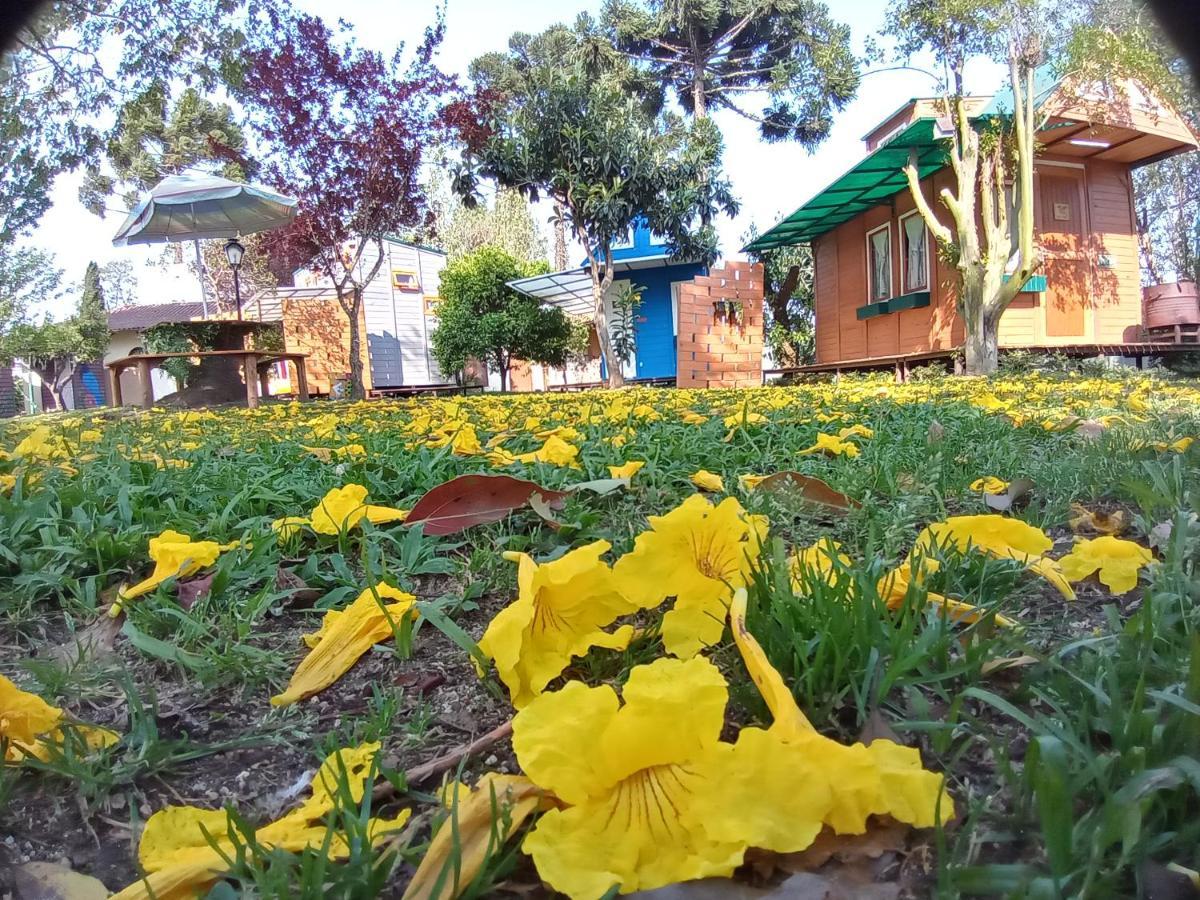 Mini House Park Hotel Campo Alegre  Exterior photo