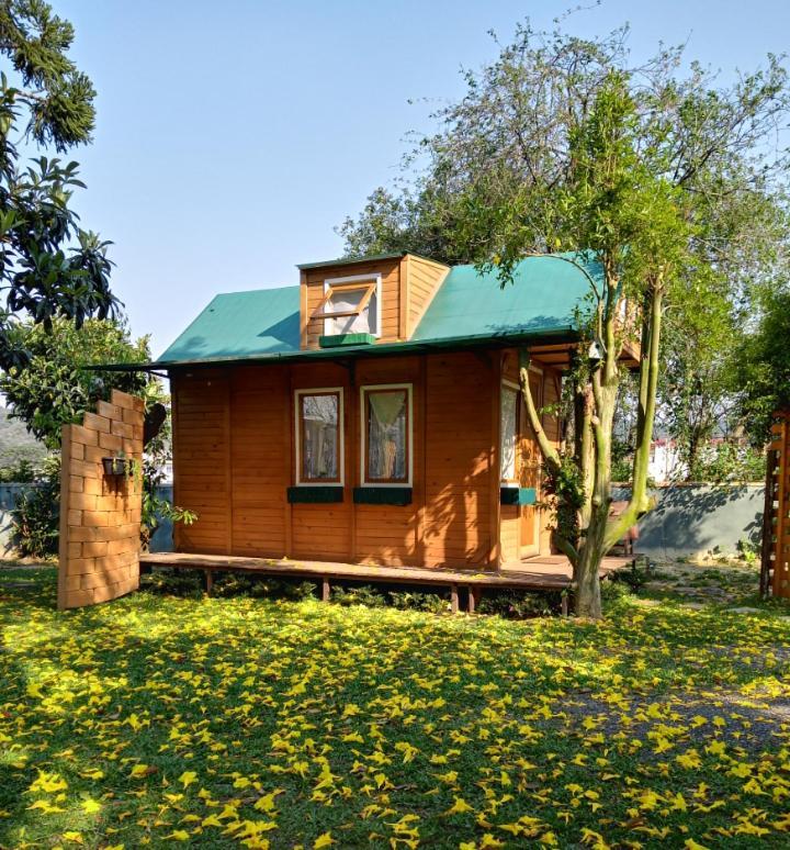 Mini House Park Hotel Campo Alegre  Exterior photo